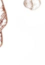 invisalign thailand in dental orthodontics bangkok