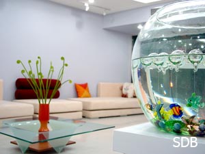 dental clinic