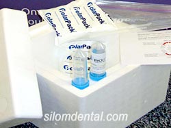 tooth stem cell collection