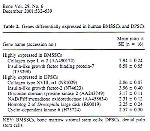 teeth stem cell and bone stem cell