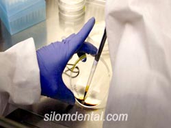 Tooth Stem Cell collection and preservation