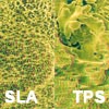 SLA or TPS surface