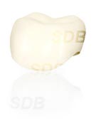 nobel procera zirconia crown