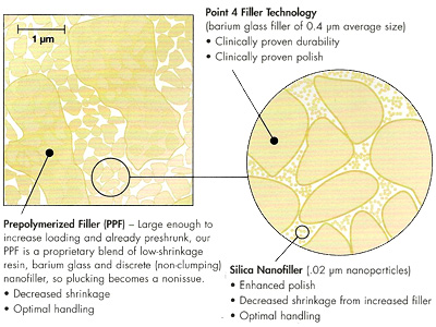 Premise Dental Restorative