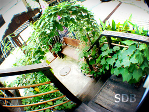 dental balcony
