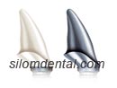 Procera Abutment