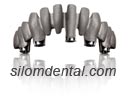 Procera Implant Bridge Titanium