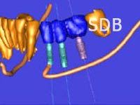 facilitate computer guided implant treatment