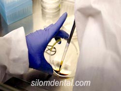 Tooth Stem Cell collection and preservation 