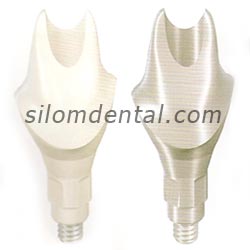 straumann CADCAM abutment