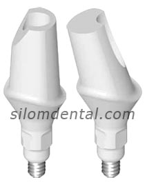 straumann anatomic abutment
