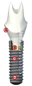 Straumann Bone Level Implant